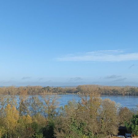 Gite Des Perreyeurs - Maison Troglodyte Avec Vue Sur Loire Montsoreau Esterno foto