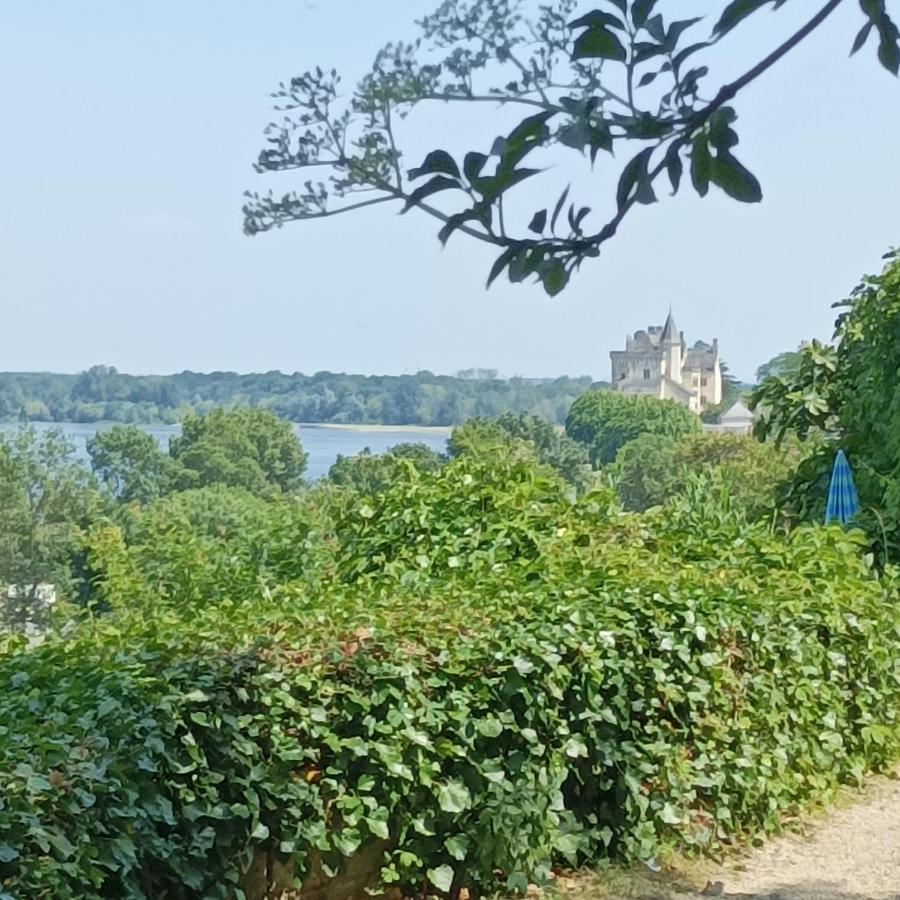 Gite Des Perreyeurs - Maison Troglodyte Avec Vue Sur Loire Montsoreau Esterno foto