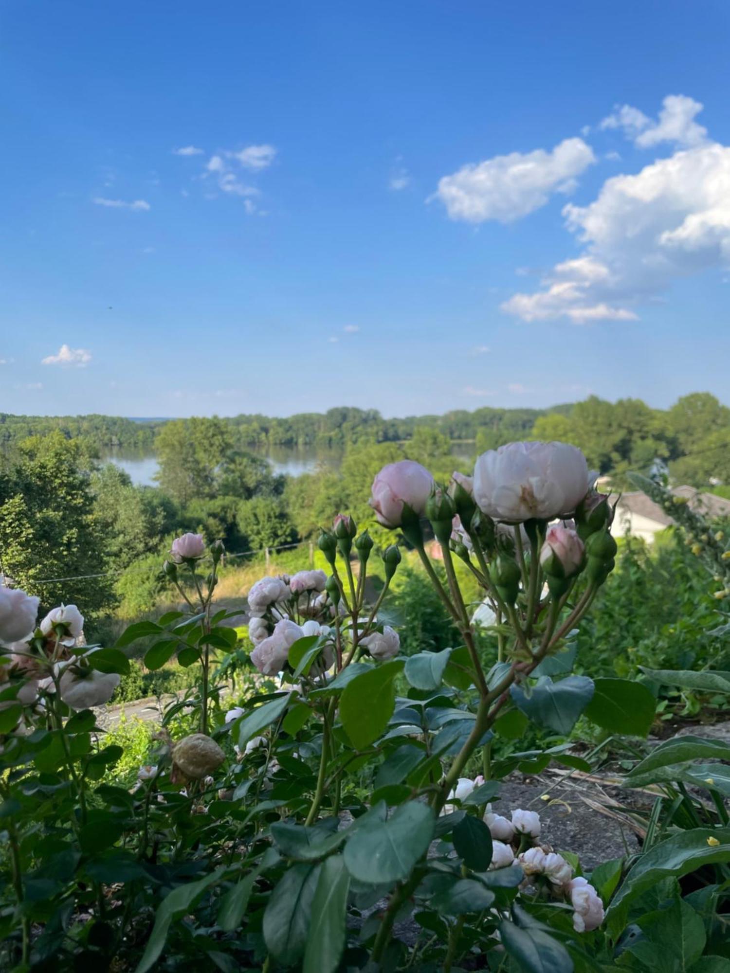 Gite Des Perreyeurs - Maison Troglodyte Avec Vue Sur Loire Montsoreau Esterno foto